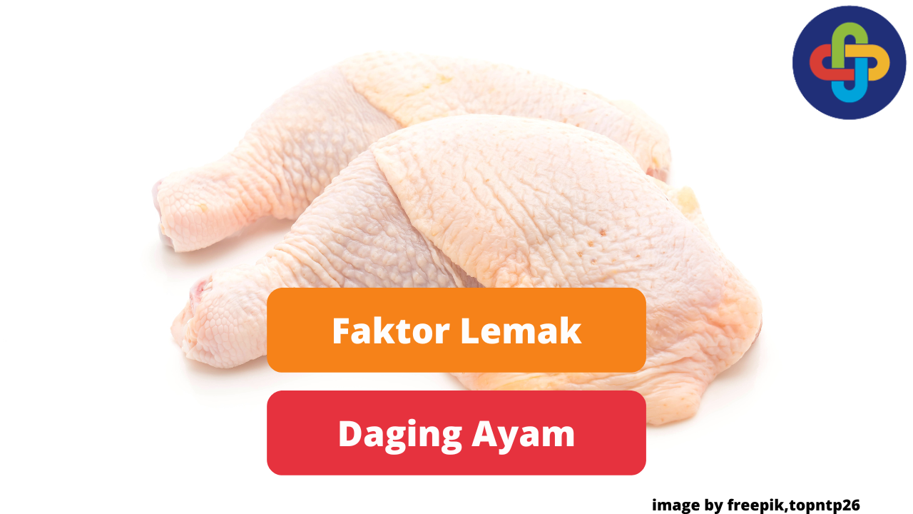 Ketahui Faktor Perlemakan Daging Ayam